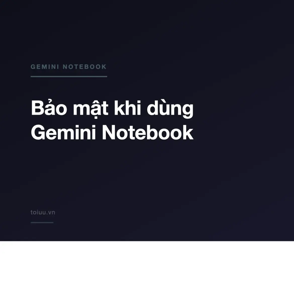 Bảo mật khi dùng Gemini Notebook